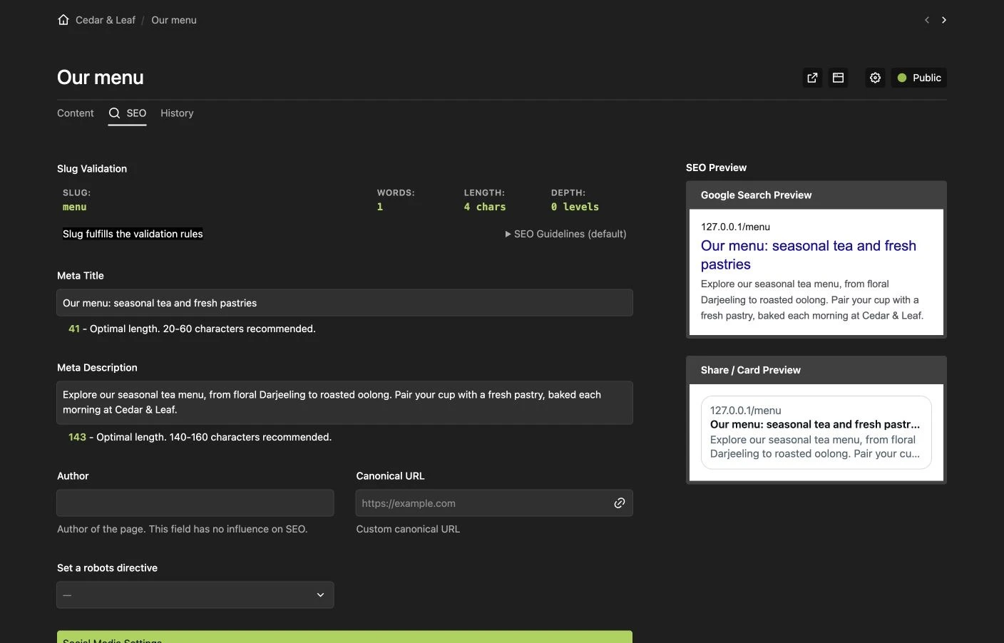 Page SEO fields and search preview