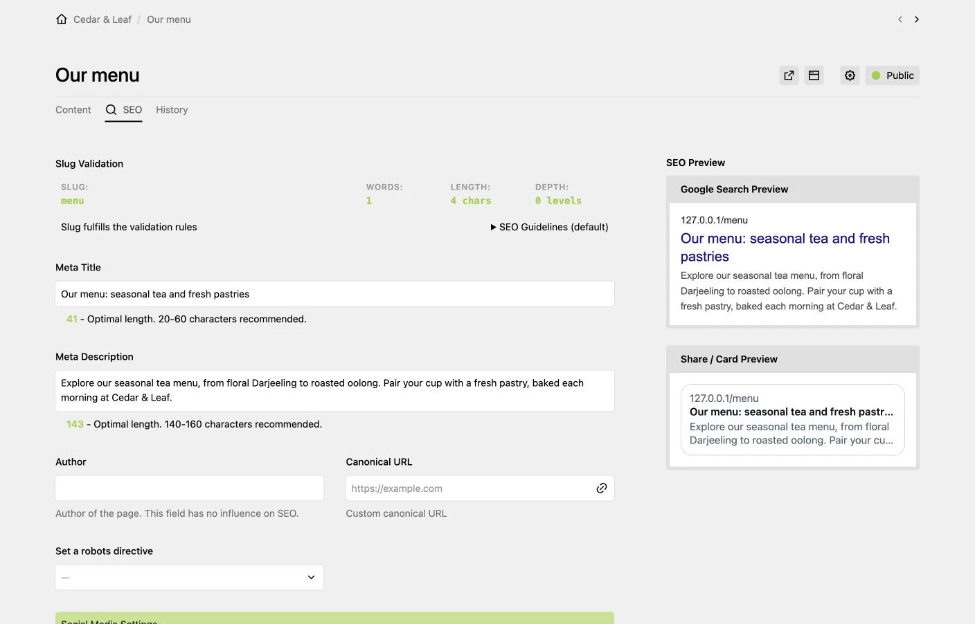 Page SEO fields and search preview